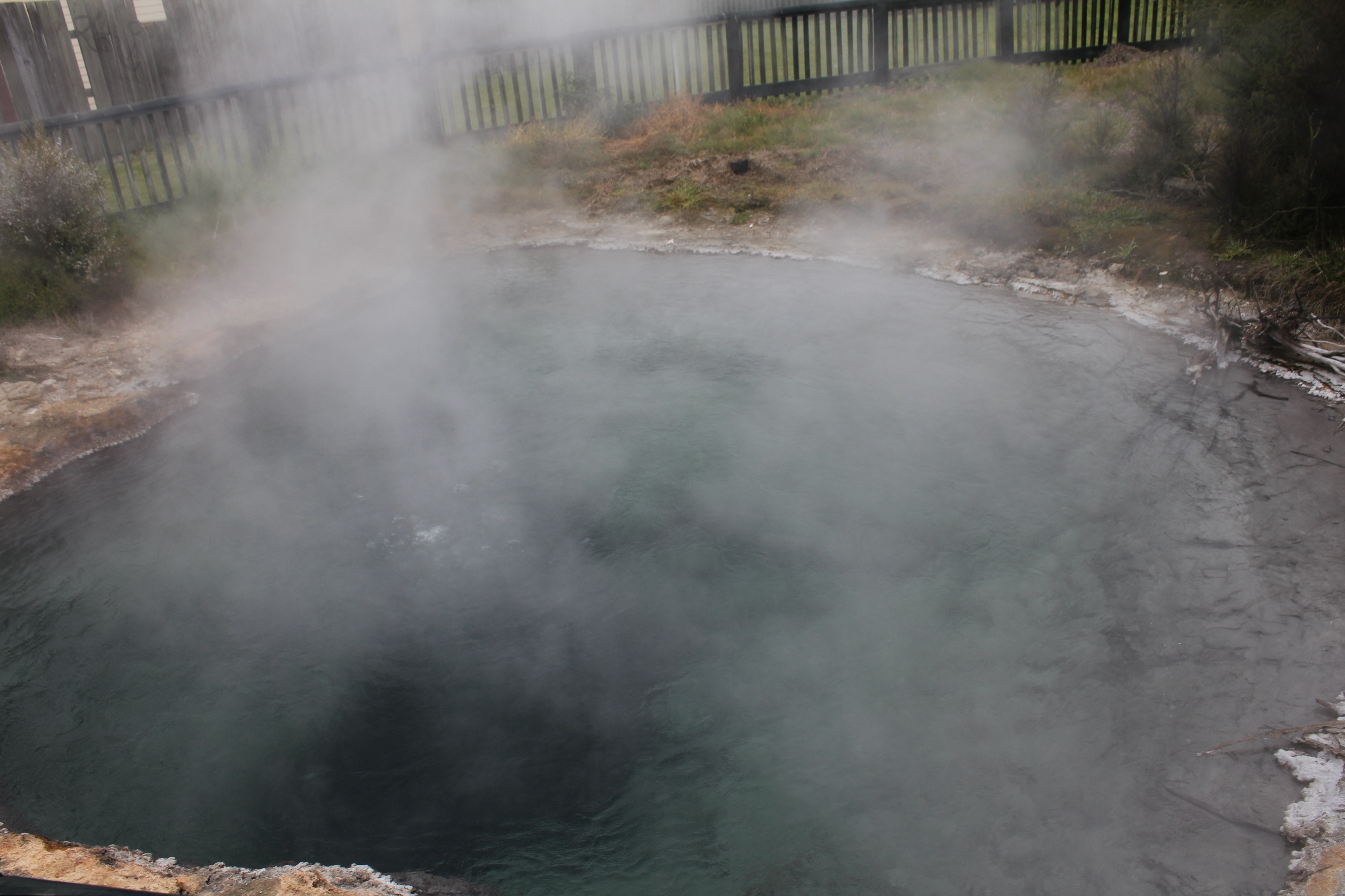 Rotorua Park